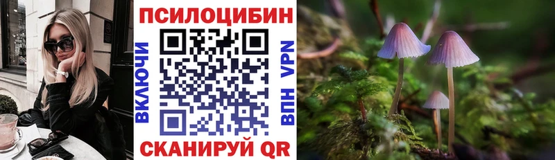 Псилоцибиновые грибы прущие грибы Новороссийск